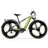 Electric Bicycle Mountain Bike 250W 48V 14A E-Bike 7-Speed E-Bike Adult Men'S Electric Mountain 672Wh Lithium