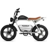 48V 1000W Adult Mtb Cycle E-Bike Hybrid Mountain Dirt Bicicleta Electrica Fat Tire Ebike E Bike Electric Bicycle