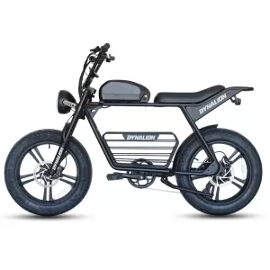 48V 1000W Adult Mtb Cycle E-Bike Hybrid Mountain Dirt Bicicleta Electrica Fat Tire Ebike E Bike Electric Bicycle