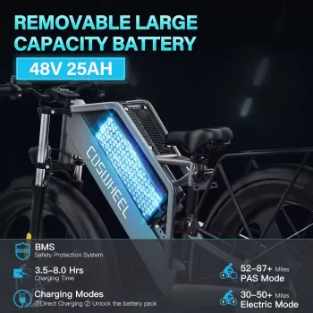26Inch Electric Bike off Road Mountain Bike Electric Motorcyle Fat Bike E Bike 1500W 48V 25Ah Removabel Battery