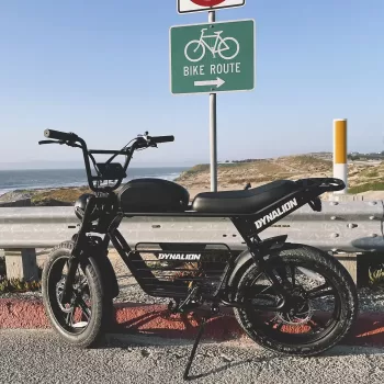 48V 1000W Adult Mtb Cycle E-Bike Hybrid Mountain Dirt Bicicleta Electrica Fat Tire Ebike E Bike Electric Bicycle