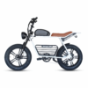 48V 1000W Adult Mtb Cycle E-Bike Hybrid Mountain Dirt Bicicleta Electrica Fat Tire Ebike E Bike Electric Bicycle