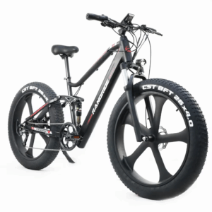RANDRIDE High Performance Electric Mountain Bike1000W Fat Tire E-Bike 48V Lithium Battery Electric Bike 26 Inches