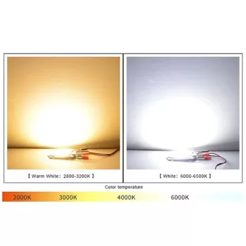 LED Chip COB Lamp 10W 20W 30W 50W AC 220V 240V IP65 Smart IC No Need Driver DIY Flood Light Led Bulb Spotlight Outdoor Lamp Bead